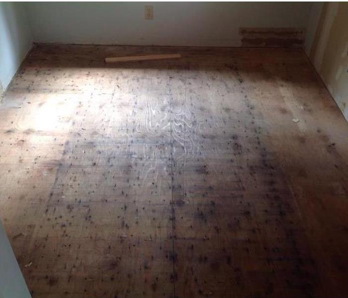 Empty room with an exposed subfloor