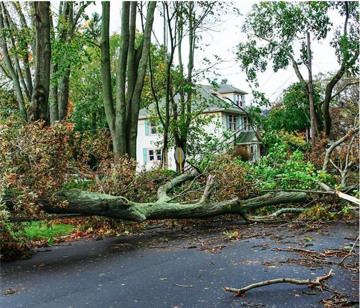 storm damage in street