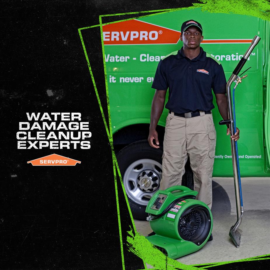 SERVPRO Water Damage Expert