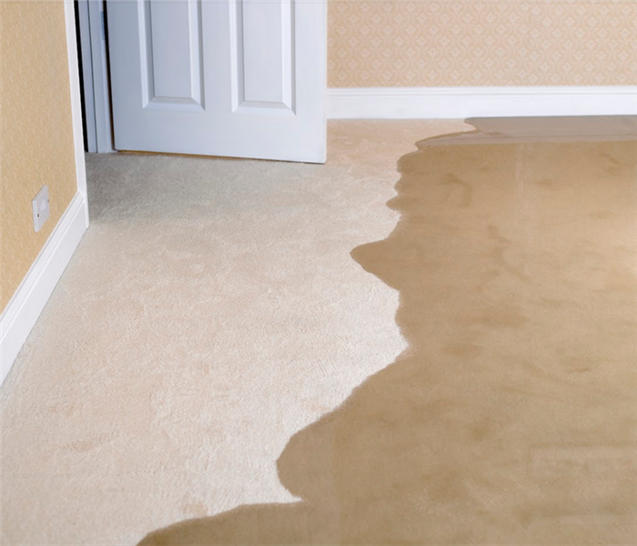a flooded room with water soaking the carpet