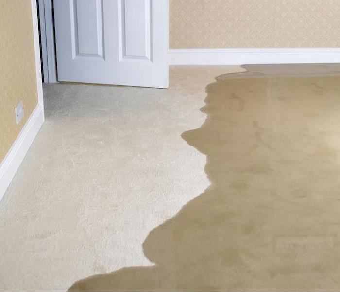 Water on floor in home