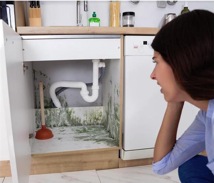 woman looking at mold under kitchen sink cabinet